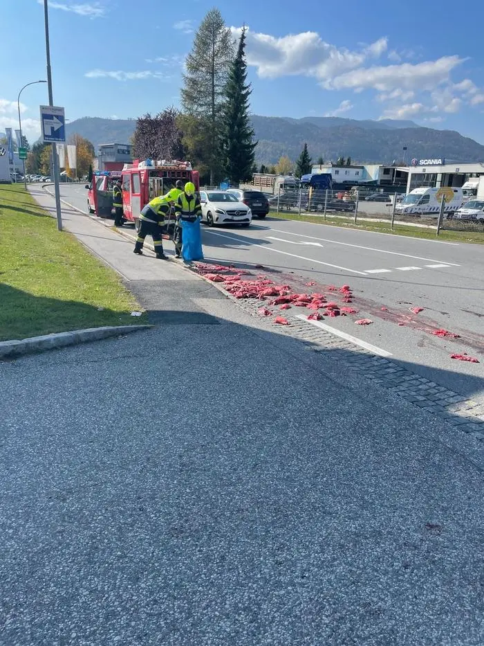 Der Lkw-Fahrer verlor bei der Vollbremsung einen Teil der Ladung