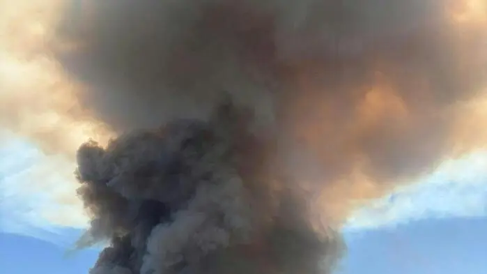 Im Föhrenwald in St. Egyden am Steinfeld (Bezirk Neunkirchen) ist am Freitag erneut ein Brand ausgebrochen