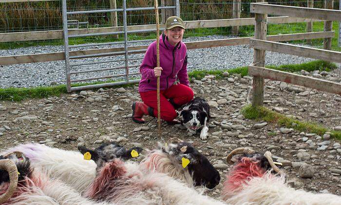 Cathrin und ihre Hunde halten 600 Schafe in Schach