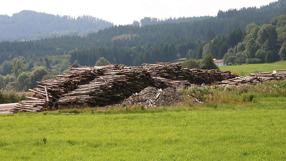 Der Sanierungsplan für die RZ Holzindustrie steht