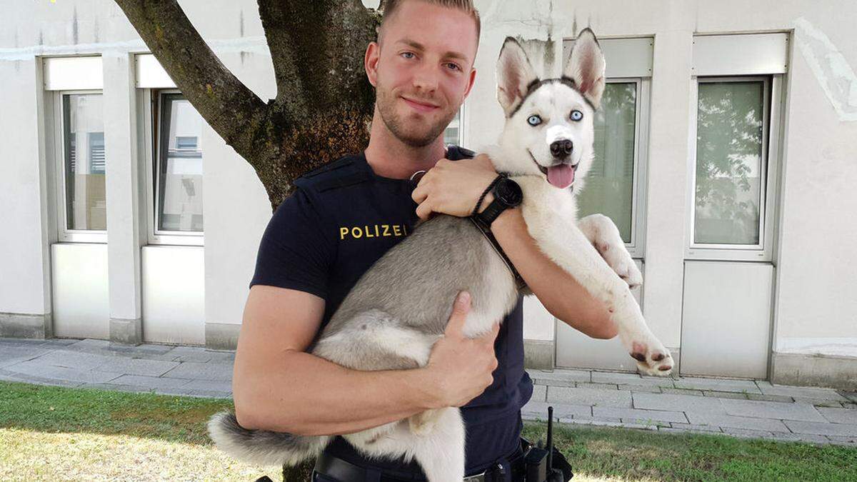 Husky Suki mit ihrem neuen Besitzer 