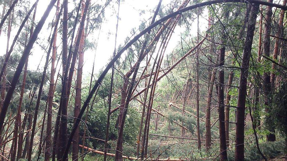 Der Sturm richtete am vergangenen Wochenende erheblichen Schaden an, die Wälder sollten deshalb weiterhin nicht betreten werden