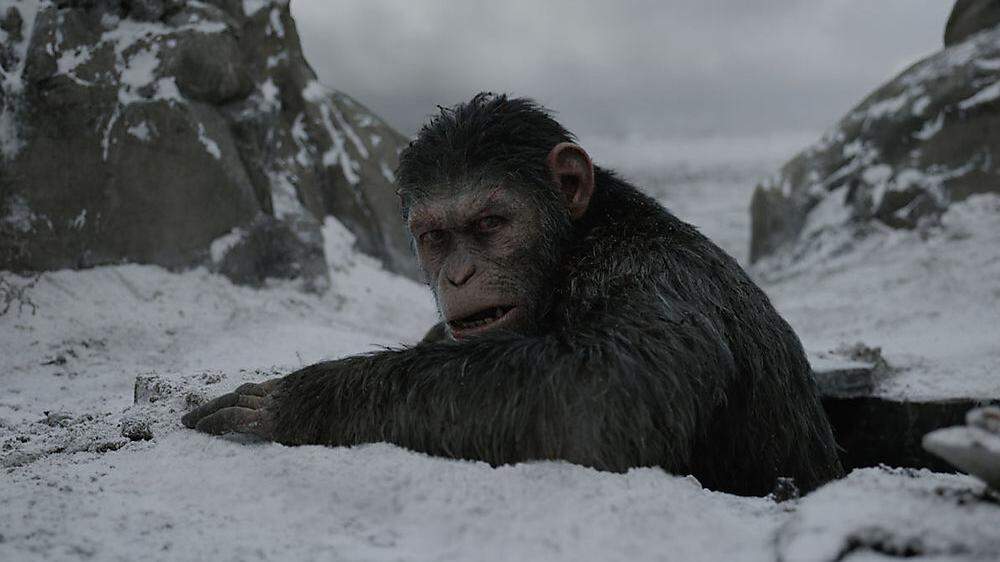Der britische Schauspieler Andy Serkis mimt Caesar, den unter Druck geratenen Anführer der Affen