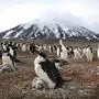 "Planet Earth" am Dienstag um 20.15 Uhr, ORF 2