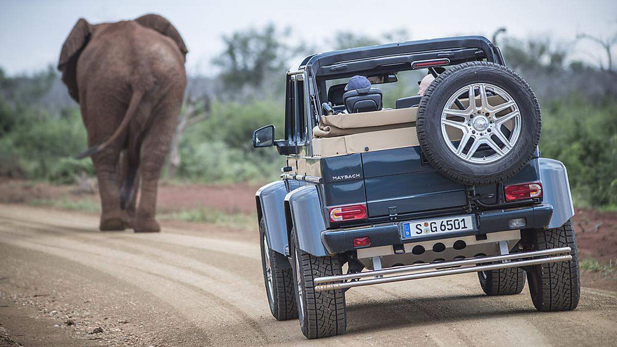 Auf den Spuren der Elefanten mit dem Mercedes-Maybach G 650 Landaulet