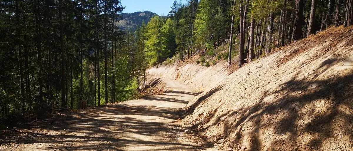 Der Forstweg wurde erst vor Kurzem gebaut