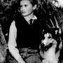 Lassie, der wohl bekannteste Fernsehhund 