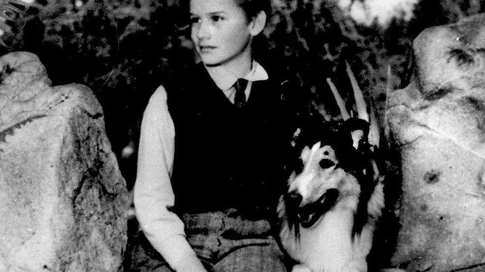 Lassie, der wohl bekannteste Fernsehhund 