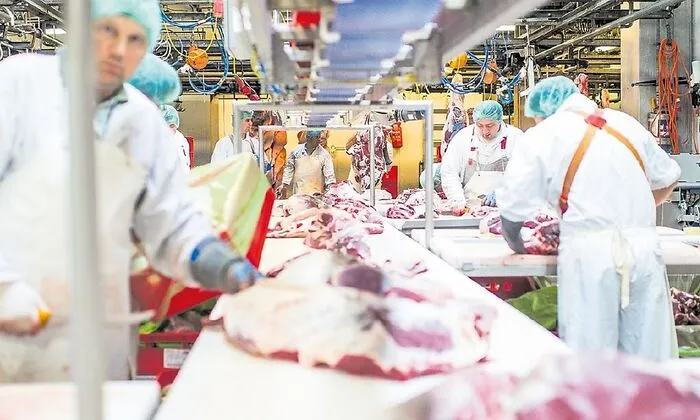 Im Schlacht- und Zerlegebetrieb ist jedes Stück Fleisch lückenlos rückverfolgbar