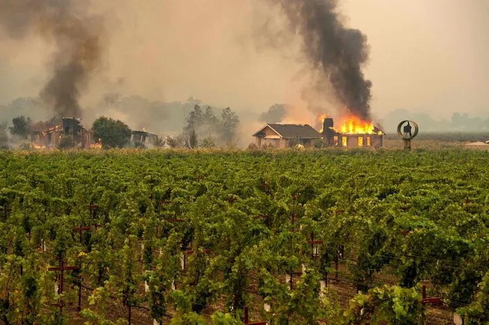 Bis zu 179.000 Kunden in 17 Bezirken des Westküstenstaates sollten in den nächsten Tagen von der Maßnahme betroffen sein - darunter auch Sonoma, der Ort des jüngsten Brandes.