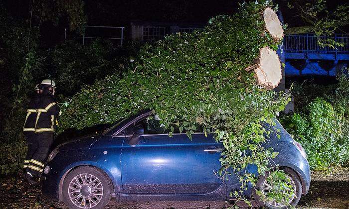 Dieses Auto wurde von zwei Bäumen getroffen