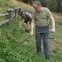 LK-Präsident Andreas Steinegger legte mit der Sense auf der Wurmgut-Alm selbst Hand an