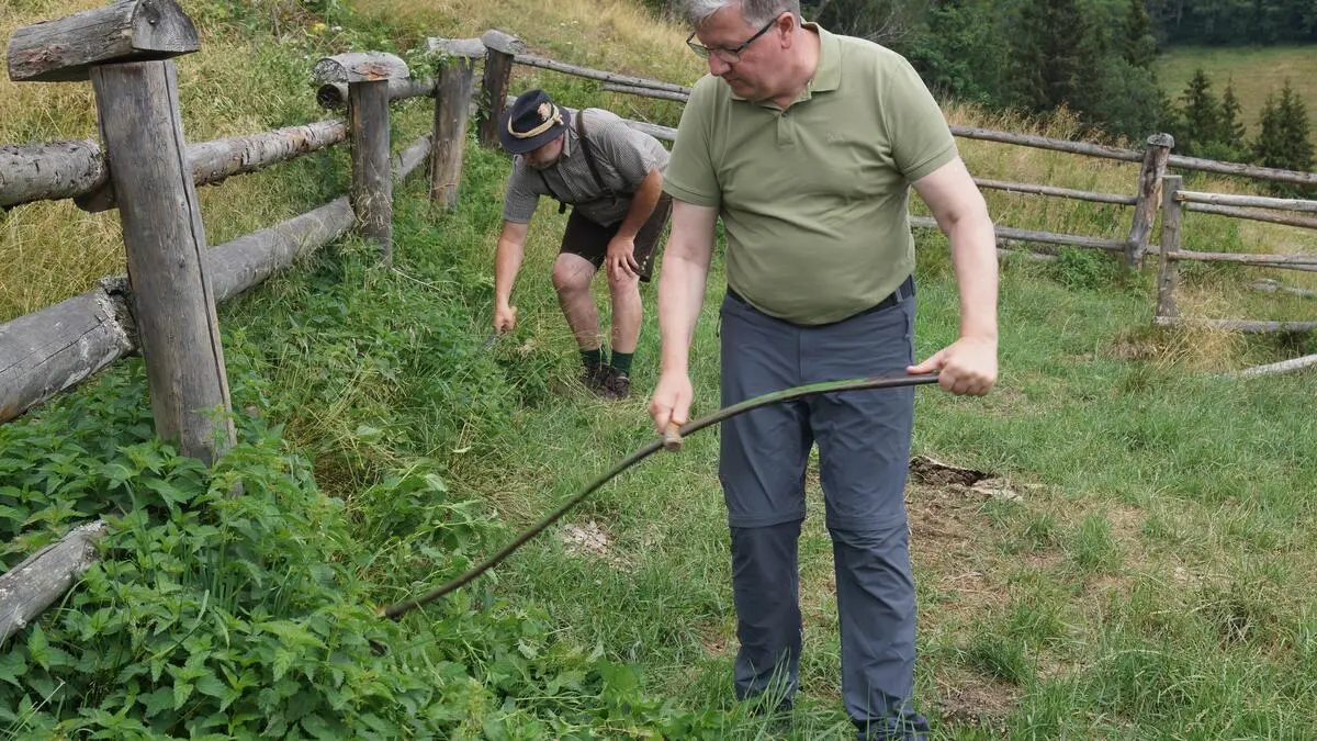 LK-Präsident Andreas Steinegger legte mit der Sense auf der Wurmgut-Alm selbst Hand an