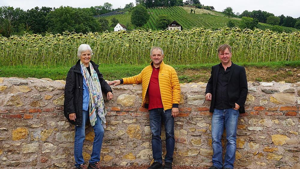 Sanierung abgeschlossen Römische Villa Rustica in Löffelbach hat jetzt