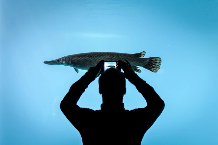 Ziel des "Aquatis" sei es, bei den Menschen Sympathie für Wasser-Lebensräume zu wecken, um diese besser zu schützen, schrieben die Macher auf ihrer Website.