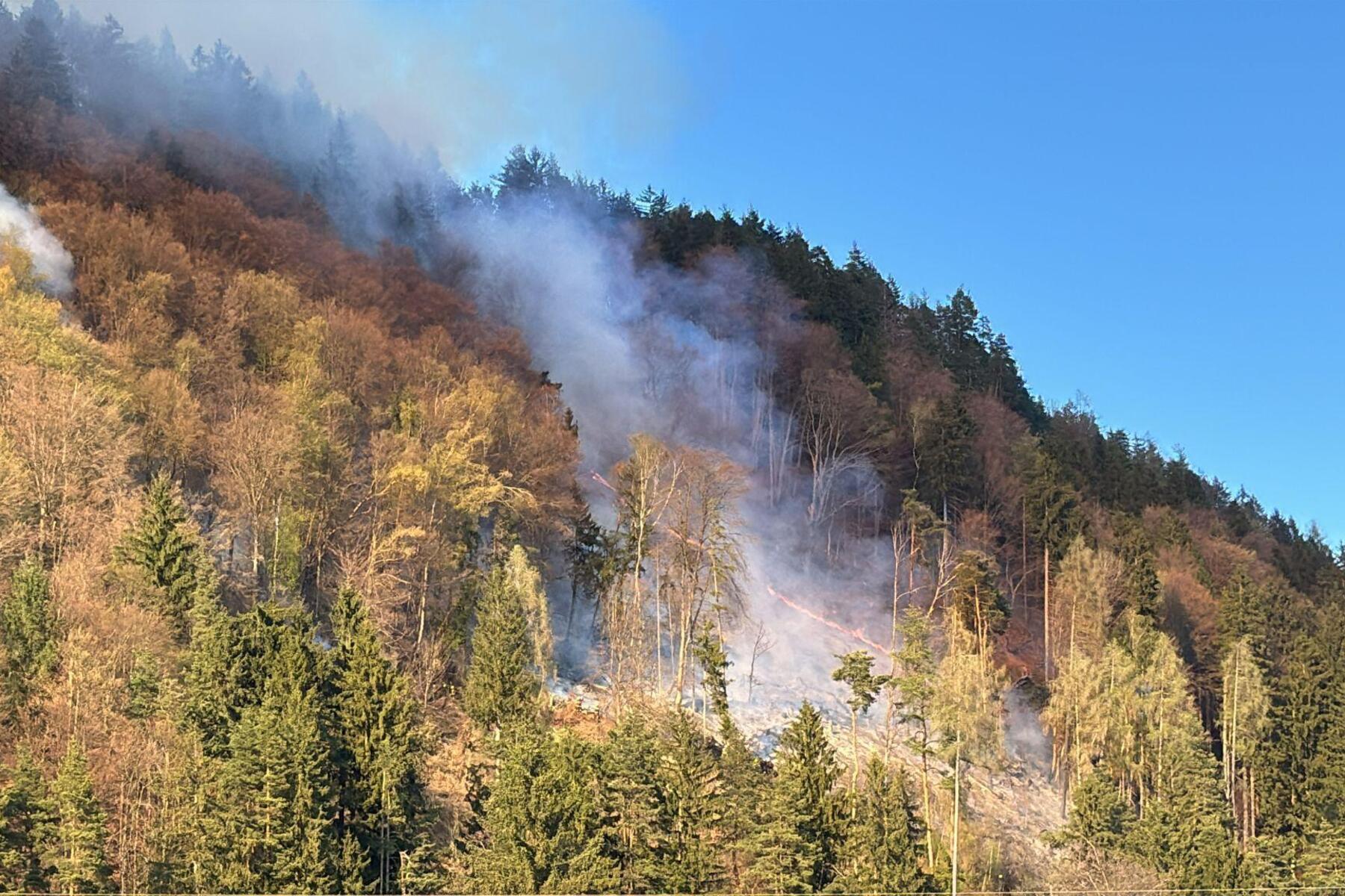 Hubschrauber im Einsatz: Waldbrand oberhalb des Faaker Sees ausgebrochen