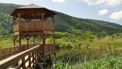 Das Bleistätter Moor nahe des Ossiacher Sees ist ein Europaschutzgebiet