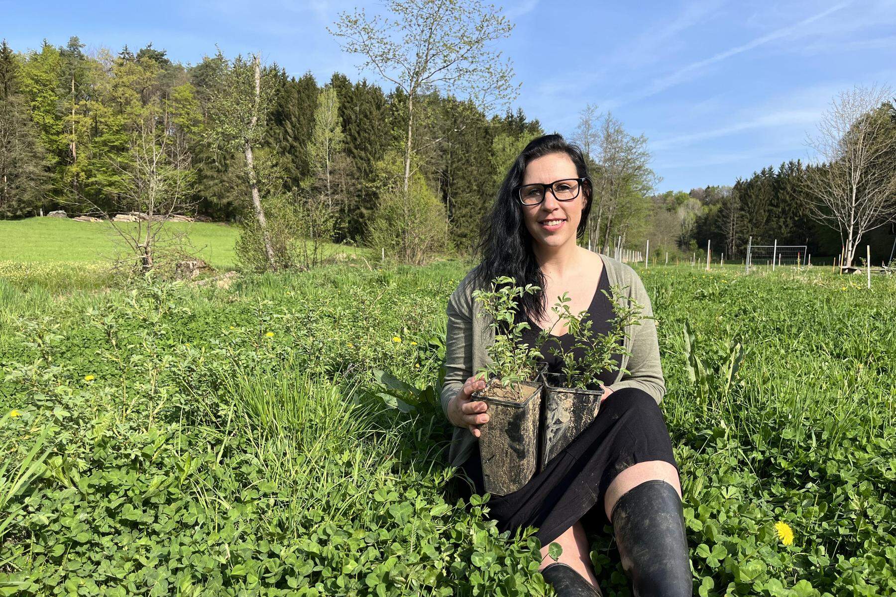 1. Hagebuttenbäuerin: Sie züchtet und zähmt 4500 Wildrosen in Lannach