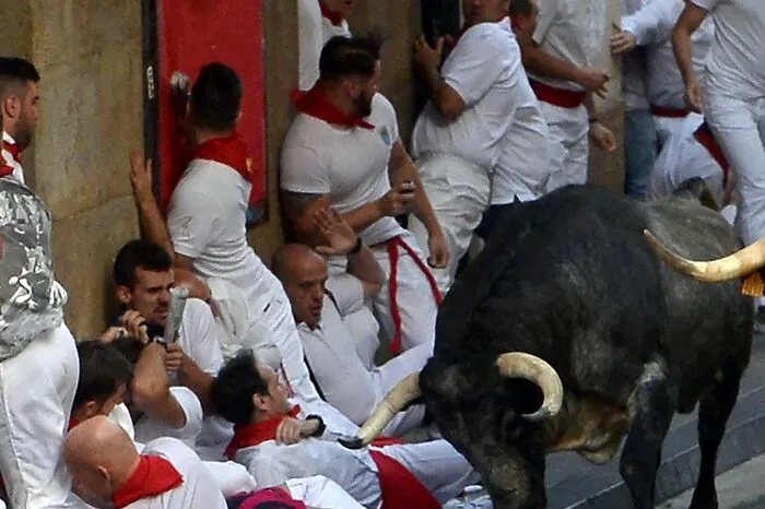 Jedes Jahr werden bei diesen Mutproben Dutzende verletzt. Seit 1924 gab es 15 Todesopfer, das letzte 2009. Über Pamplona schrieb auch der US-Schriftsteller Ernest Hemingway in seinem ersten größeren Roman "Fiesta" (1926).