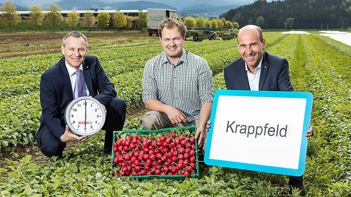 Um 6 Uhr Früh wird das Gemüse in Krappfeld geerntet