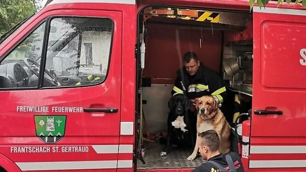 Die Kameraden der FF Frantschach brachten die Tiere ins Tierheim Wolfsberg