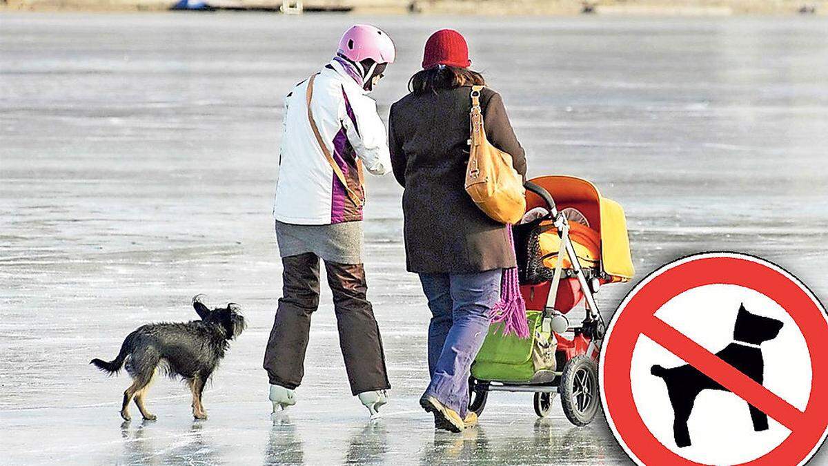 Auf mehreren zugefrorenen Seen in Kärnten sind Hunde nicht mehr erlaubt