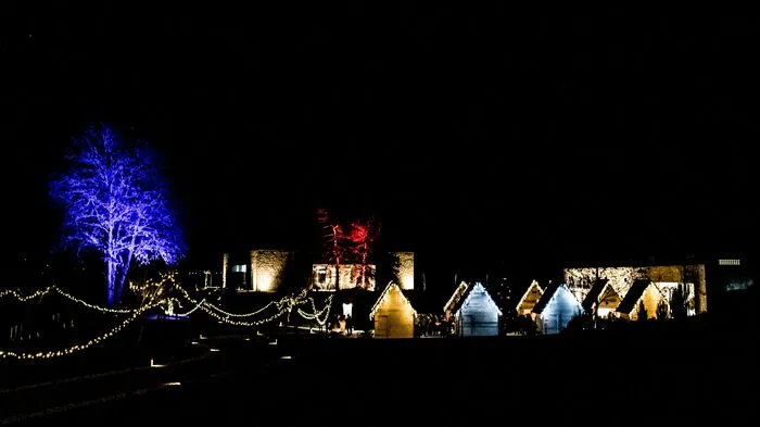Erstmals findet in Kärnten bei Winzerin Mirjam Orasch in der Domäne Lilienberg ein Adventmarkt in einem Weingarten statt.