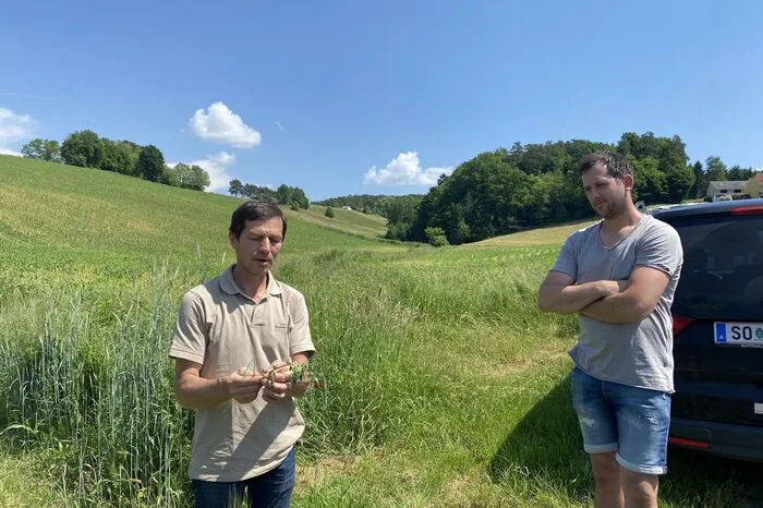 Johannes Maßwohl und Christian Sorger (v. l.) am Rand des begutachteten Ackers.