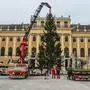 ABD0077_20251022 - WIEN - ÖSTERREICH: ++ HANDOUT ++ ZU APA0164 VOM 22.10.2025 - Ankunft und Aufstellung des Schönbrunner Weihnachtsbaums am Mittwoch, 22. Oktober 2025, vor dem Schloss Schönbrunn Wien. - FOTO: APA/IMPERIAL MARKETS/HANNA FORSTER - ++ WIR WEISEN AUSDRÜCKLICH DARAUF HIN, DASS EINE VERWENDUNG DES BILDES AUS MEDIEN- UND/ODER URHEBERRECHTLICHEN GRÜNDEN AUSSCHLIESSLICH IM ZUSAMMENHANG MIT DEM ANGEFÜHRTEN ZWECK UND REDAKTIONELL ERFOLGEN DARF - VOLLSTÄNDIGE COPYRIGHTNENNUNG VERPFLICHTEND ++
