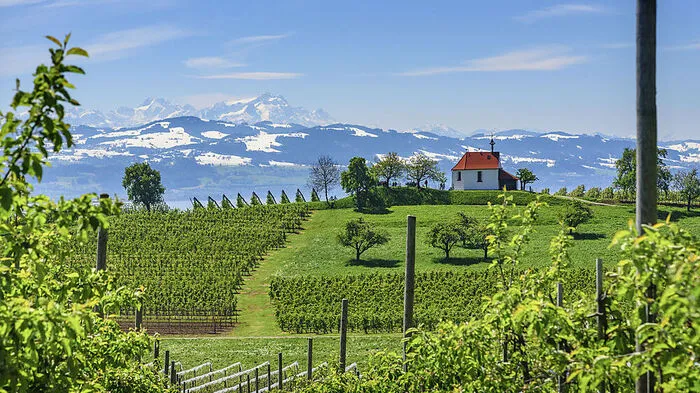Nonnenhorn ist der südwestlichste Ort Bayerns und ein Zentrum des Obst- und Weinbaus. Mit Reben in Lagen zwischen 400 bis 550 Meter Seehöhe gilt die Bodenseeregion als das höchst- gelegene Weinbaugebiet nördlich der Alpen. Weinbau ist hier nur möglich, weil durch den Einfluss des Sees besonders günstige Klimabedingungen herrschen.