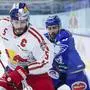 SALZBURG,AUSTRIA,17.JAN.21 - ICE HOCKEY - ICE Hockey League, EC Red Bull Salzburg vs Villacher SV. Image shows Thomas Raffl (EC RBS) and Kevin Schmidt (VSV).
Photo: GEPA pictures/ Jasmin Walter