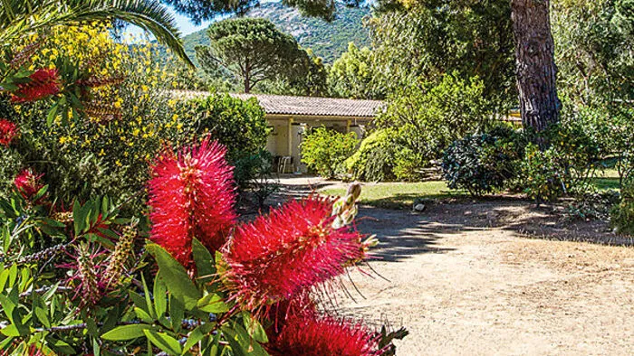 Das Feriendorf bietet naturnahes Wohnen im 7 ha großen Naturpark