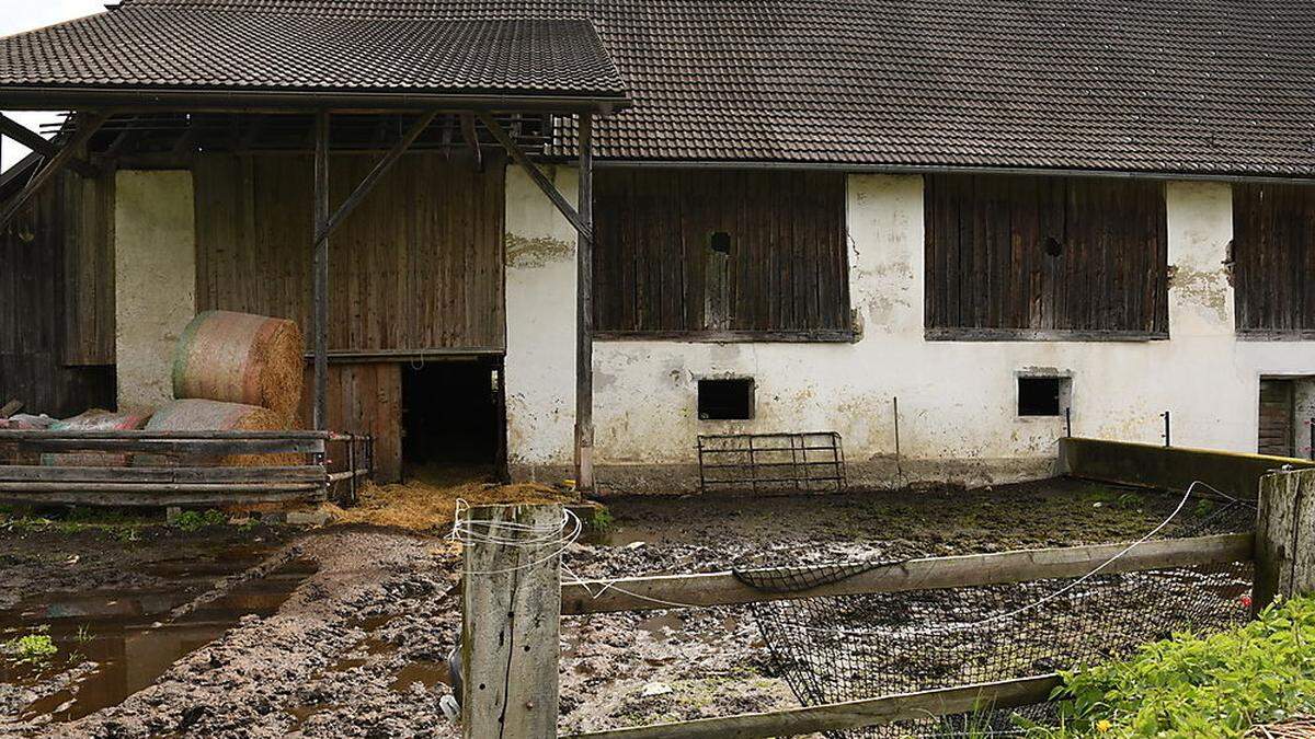 Auf diesem Bauernhof in St. Nikolai bei Feldkirchen wurden die toten Rinder entdeckt