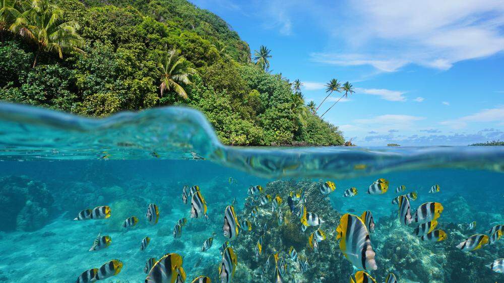 Französisch-Polynesien denkt über eine Obergrenze für Touristen nach