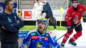 Thomas Silberberger und Nik Prelec (oben) kennen sich schon, Thimo Nickl (rechts) und Nick Hutchison (unten) wackeln, Matjaz Hafner (links) muss Aich/Dobs Umbruch vorantreiben