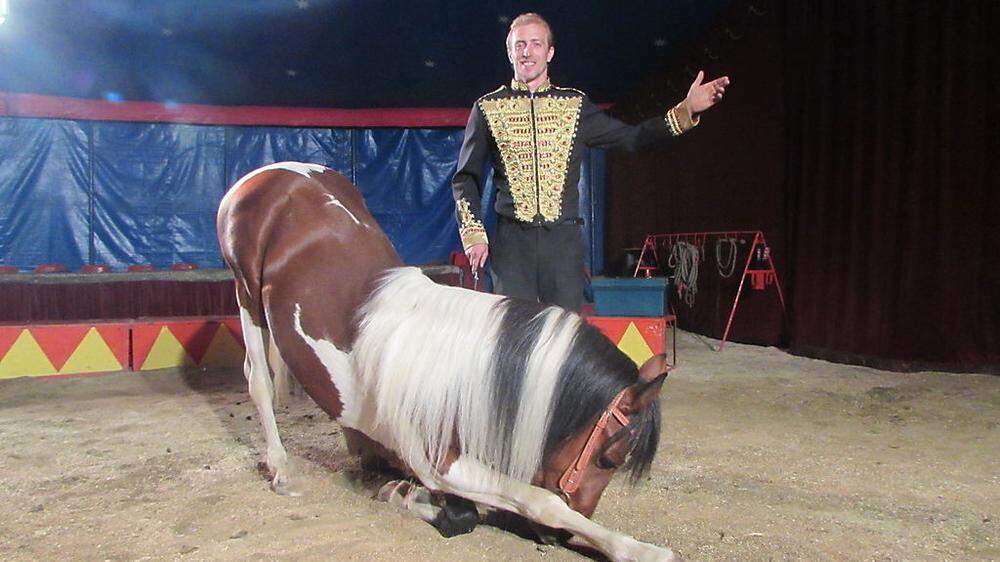 Pferdedressuren im Circus Hans Peter Althoff