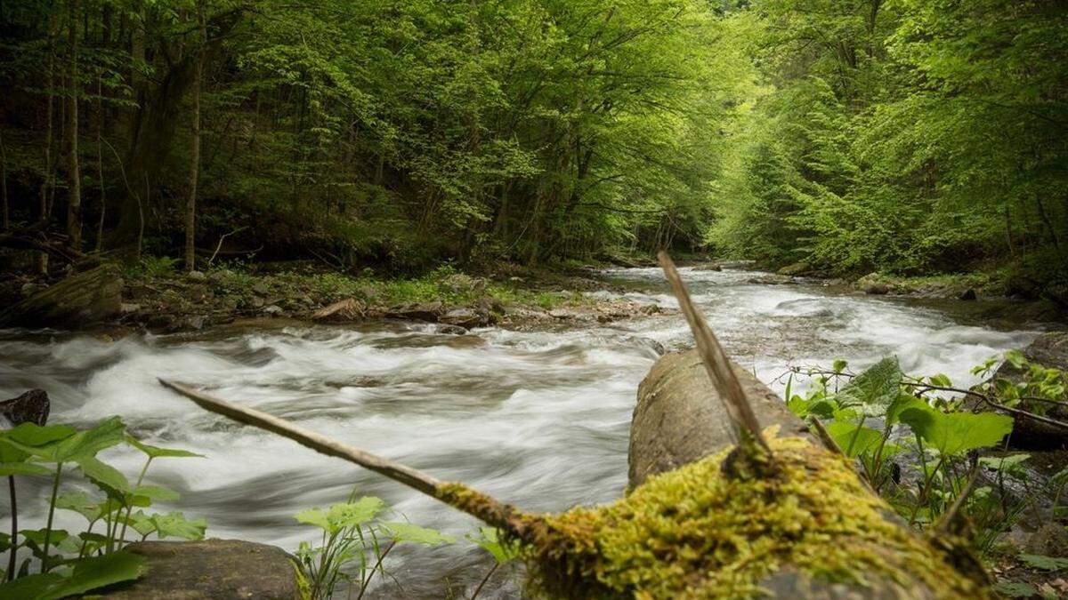 Der Verzicht auf einen Landesnaturschutzbeauftragten erntet Kritik, für das Naturschutzreferat gibt es Lob