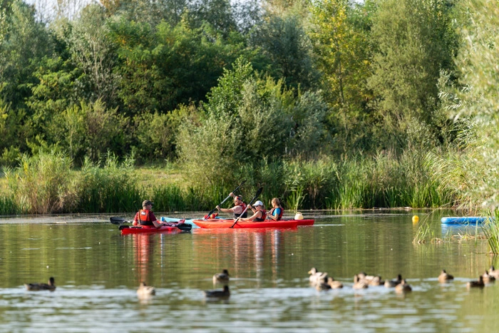 Der richtige Paddelschlag ist schnell erlernt