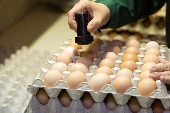 Gestempelt wird in großen Betrieben maschinell, kleinere setzen noch auf Handarbeit