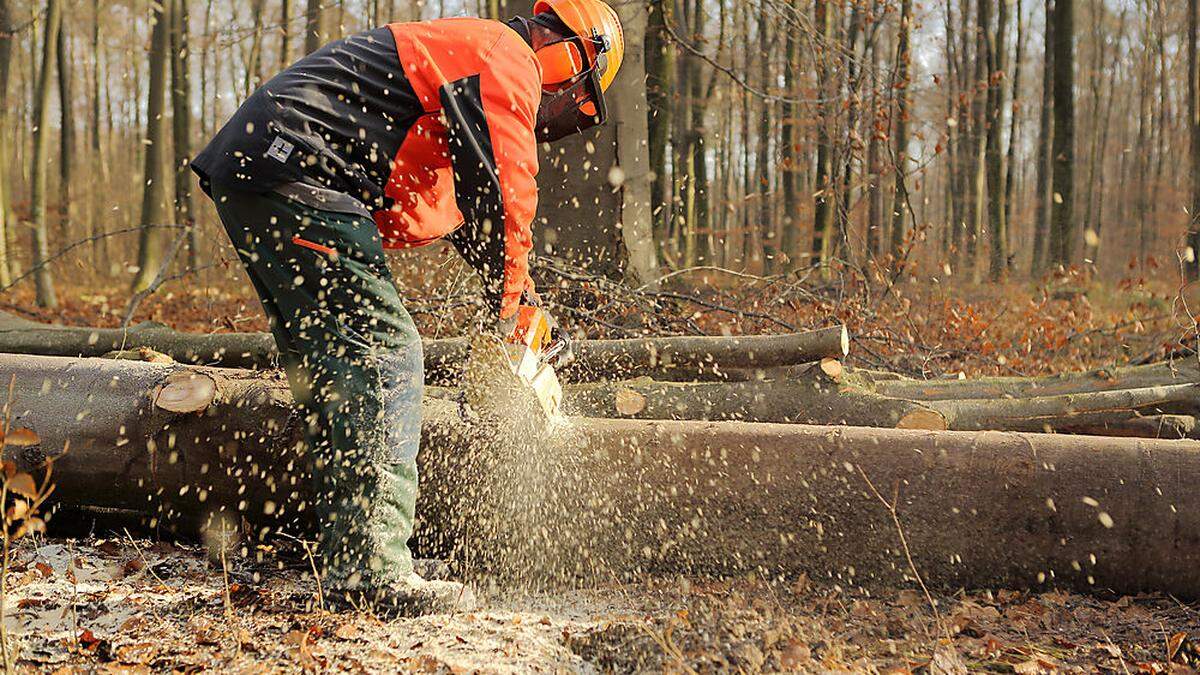 Bei Arbeiten im Forst verletzte sich ein 57-jähriger Villacher (Sujet-Foto)