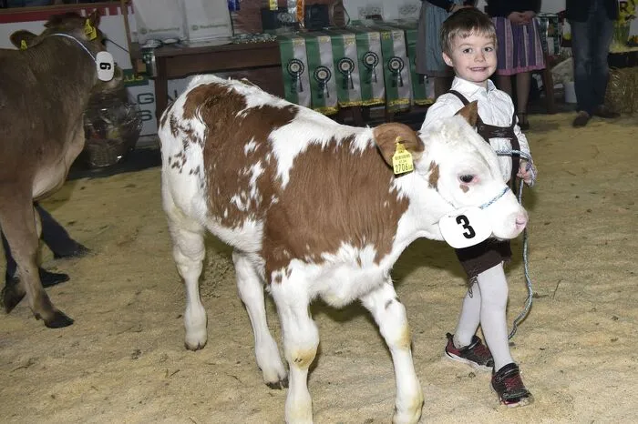 Mit großer Begeisterung führten die Bambinis ihre vierbeinigen Lieblinge in die Halle und eröffneten das Finale des diesjährigen Jungzüchtercups