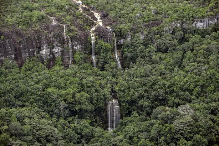Der Nationalpark ist reich an Flora und Fauna und auch an bedrohten Arten mangelt es nicht. Jaguare, Tapire, Schildkröten und Papageien tummeln sich zum Beispiel um den Cano Paujil-Wasserfall.