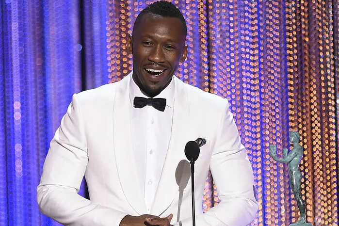 Bester Nebendarsteller: Mahershala Ali in "Moonlight"