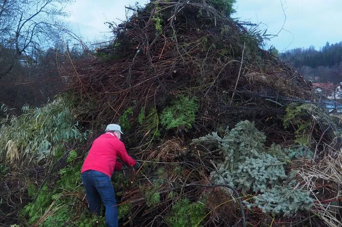Das Holz war trocken genug, dass es brannte.