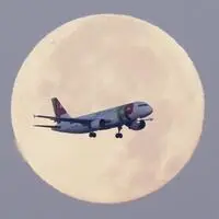 Ein Airbus A320 der TAP Air Portugal