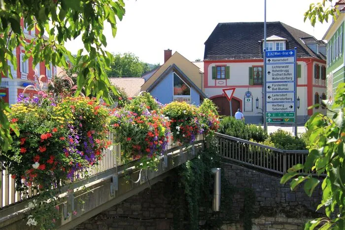 Fünf Floras