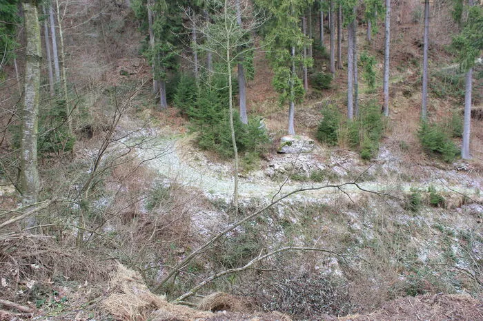 In direkter Schusslinie dahinter befindet sich dieser Forstweg, den Wanderer gerne nutzen. Bürgermeister Kurt Riemer: "Man mag sich gar nicht ausmalen, was da alles passieren kann."
