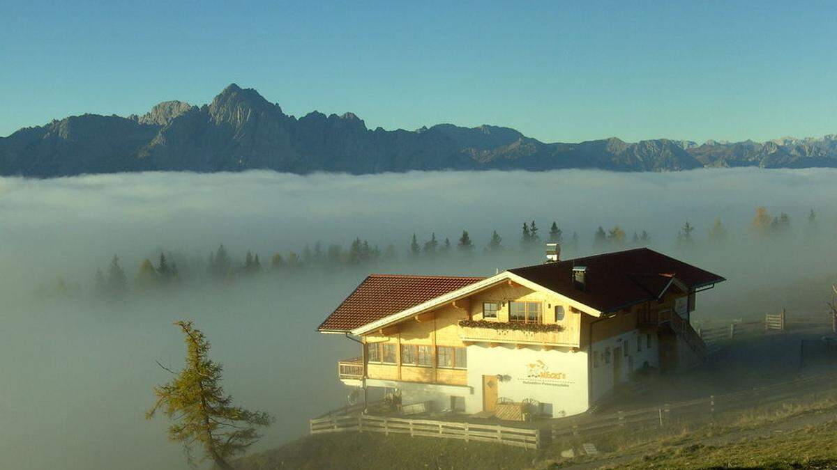 Mecki’s Panoramastubn ist in Osttirol kein Geheimtipp mehr 