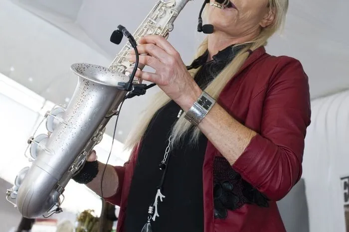 Ausnahmetalent Maria Kofler umrahmte musikalisch.