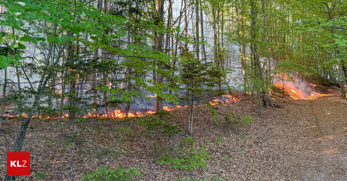 Weiterer-Waldbrand-fordert-mehr-als-100-Einsatzkr-fte